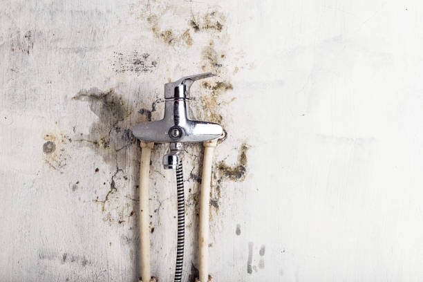 Best Water Damage Restoration  in Mountain Park, GA