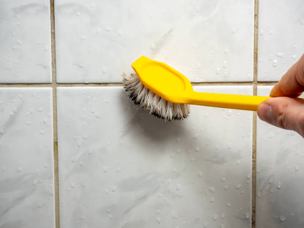 Best Mold Testing and Removal  in Mountain Park, GA