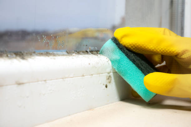 Best Home Mold Removal  in Mountain Park, GA