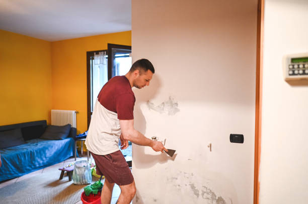 Mold Testing and Removal in Mountain Park, GA